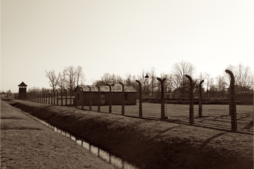 Auschwitz 1