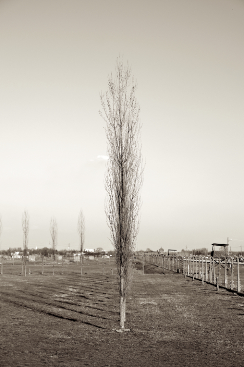 Auschwitz 10