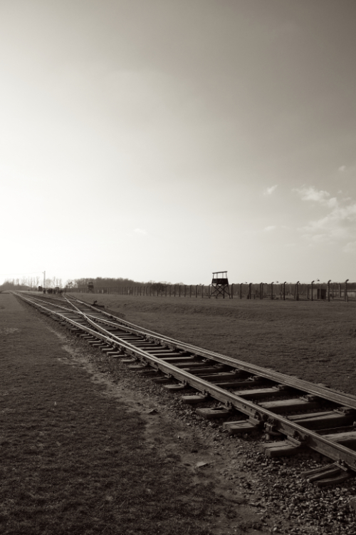Auschwitz 2