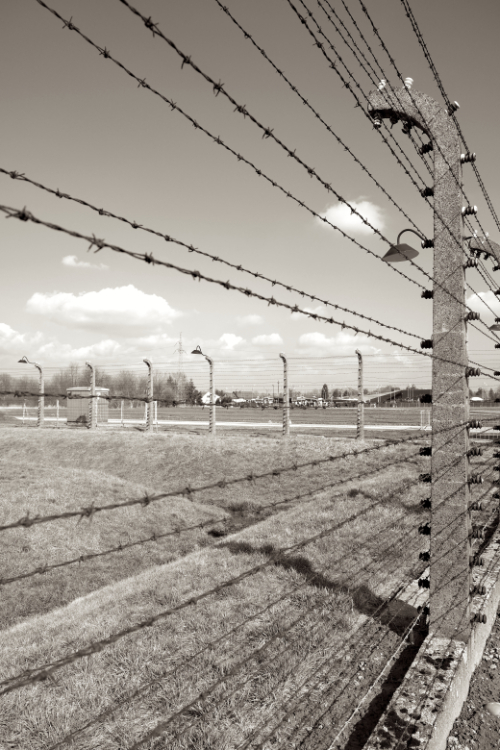 Auschwitz 3