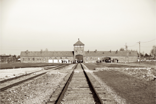 Auschwitz 4