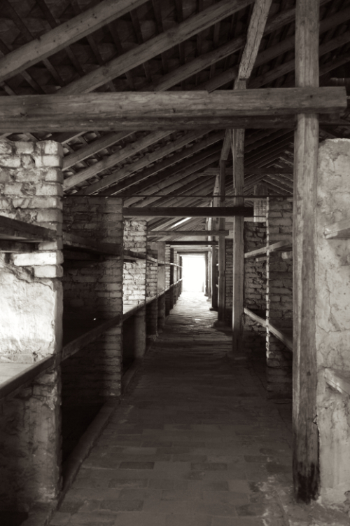 Auschwitz 5
