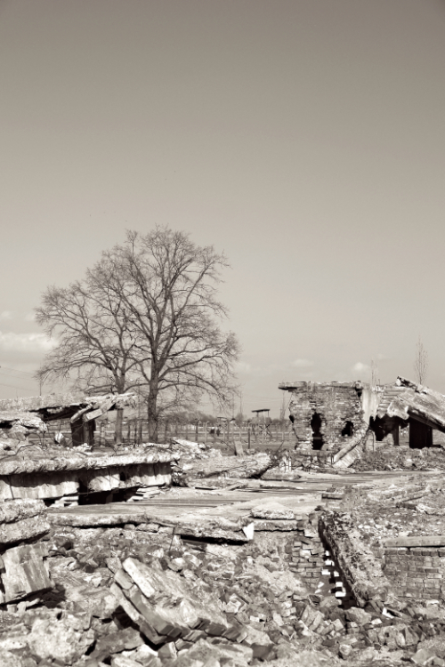 Auschwitz 6