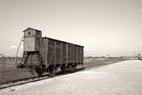 Auschwitz 7