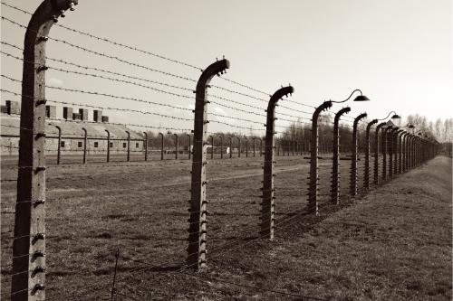 Auschwitz 8