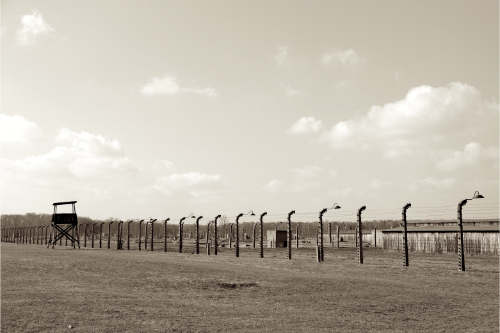 Auschwitz 9