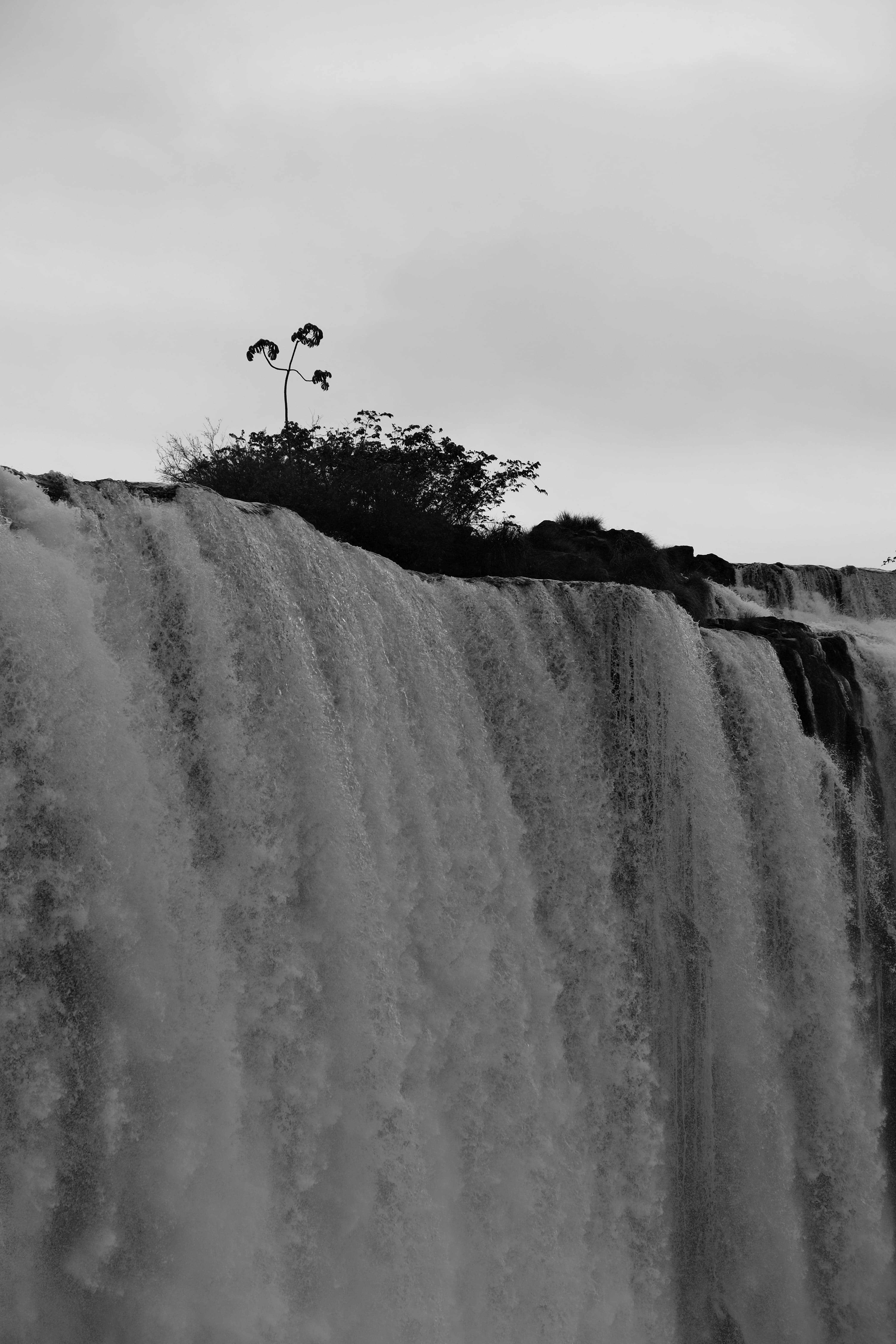 Iguazu 5