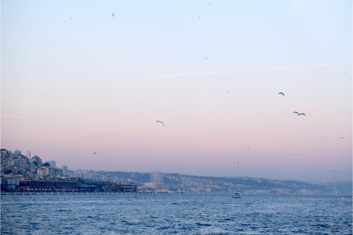 Istanbul 12