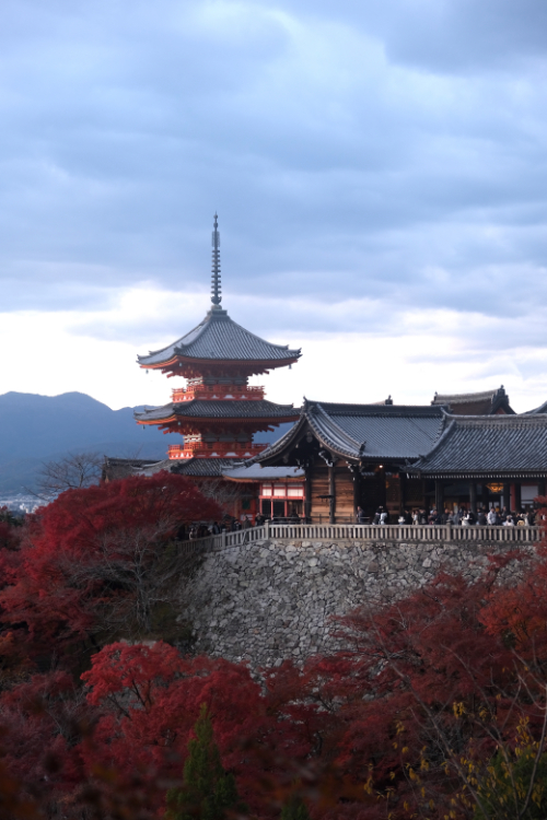 Kyoto 1