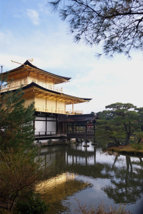 Kyoto 3
