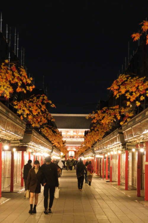 Kyoto 4